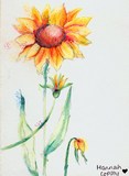 I34445 - Painting Autumn Flowers by Hannah Lily Copsey