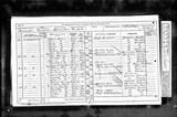 UK Cens 1871 - RG10-4486 - F 29 P 4 S 24 (Bradford-Horton)