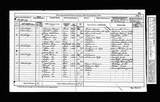 UK Cens 1871 - RG10-4841 - F 94 P 1 S 2 (Pickering-Pickering)