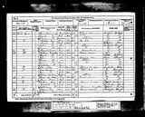 UK Cens 1881 - RG11-4696 - F 50 P 6 S 43 (Thorne-Epworth)