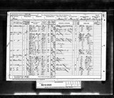 UK Cens 1891 - RG12-2025 - F 44 P 22 S 145 (Stroud-Stroud)