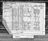 UK Cens 1891 - RG12-3161 - F 132 P 24 S 119 (Chorlton-Didsbury)