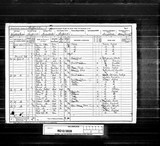 UK Cens 1891 - RG12-3828 - F 125 P 4 S 25 (Sheffield-Brightside)