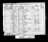 UK Cens 1891 - RG12-3846 - F 73 P 21 S 130 (Rotherham-Rotherham)