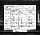 UK Cens 1891 - RG12-3895 - F 11 P 16 S 84 (York-Walmgate)