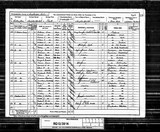 UK Cens 1891 - RG12-3914 - F 110 P 31 S 185 (Sculcoates-Cottingham)