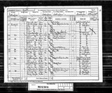 UK Cens 1891 - RG12-3915 - F 67 P 19 S 137 (Sculcoates-Cottingham)