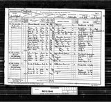 UK Cens 1891 - RG12-3946 - F 83 P 11 S 36 (Patrington-Patrington)