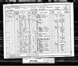 UK Cens 1891 - RG12-3954 - F 40 P 12 S 62 (Driffield-Driffield)