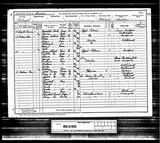 UK Cens 1891 - RG12-832 - F 121 P 5 S 31 (Petworth-Petworth, Southern) UK Cens 1891 - RG12-832 - F 121 P 5 S 31 (Petworth-Petworth, Southern)