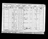 UK Cens 1901 - RG13-3216 - F 13 P 17 S 116 (Derby-Derby)