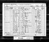 UK Cens 1901 - RG13-4310 - F 42 P 2 S 52 (Barnsley-Darton).jpg