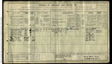 UK Cens 1911 - GBC_1911_RG14_09531_0011