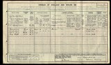 UK Cens 1911 - RG14_29491_0251_03