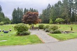 Langley Lawn Cemetery.jpg Langley Lawn Cemetery.jpg