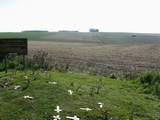 Lochnagar Crater Memorial 13.jpg
