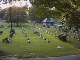 Mount Albion Cemetery 4.jpg