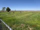 Newcastle City Cemetery, Utah.jpg