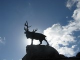 Newfoundland War Memorial Park 44.jpg