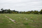 Ruru Lawn Cemetery.jpg
