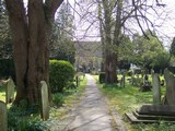 Speldhurst Churchyard..jpg