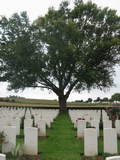 Warlencourt British Cemetery 3.jpg